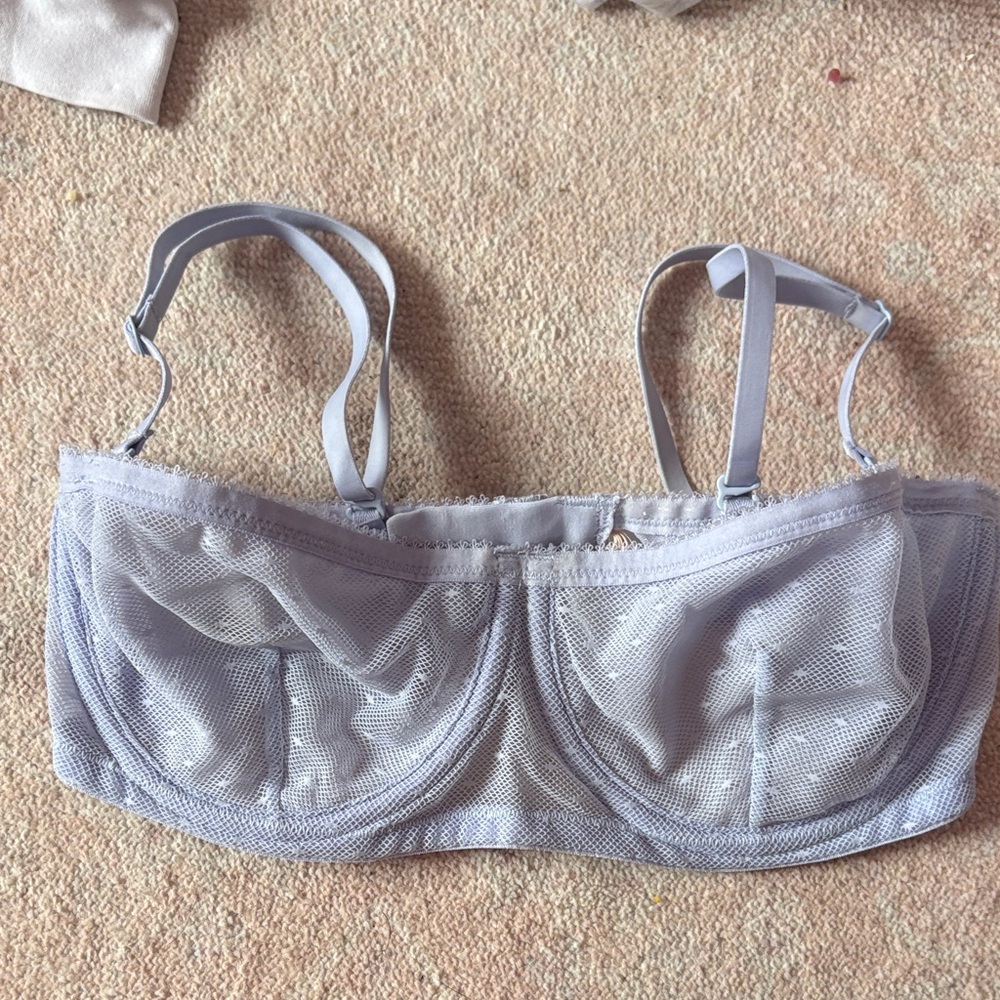 J. Crew Sheer Light Gray Bra